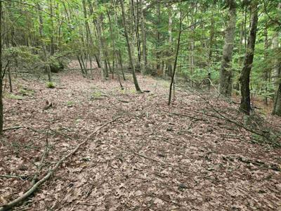 Map 132 Lot 115 Arrowhead Lane