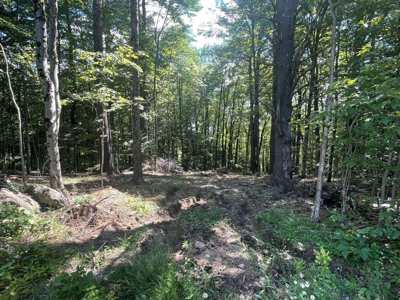 Image 0: 1.4 Acres