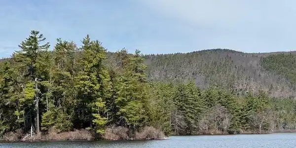 Image 4: Hills Pond Scenery