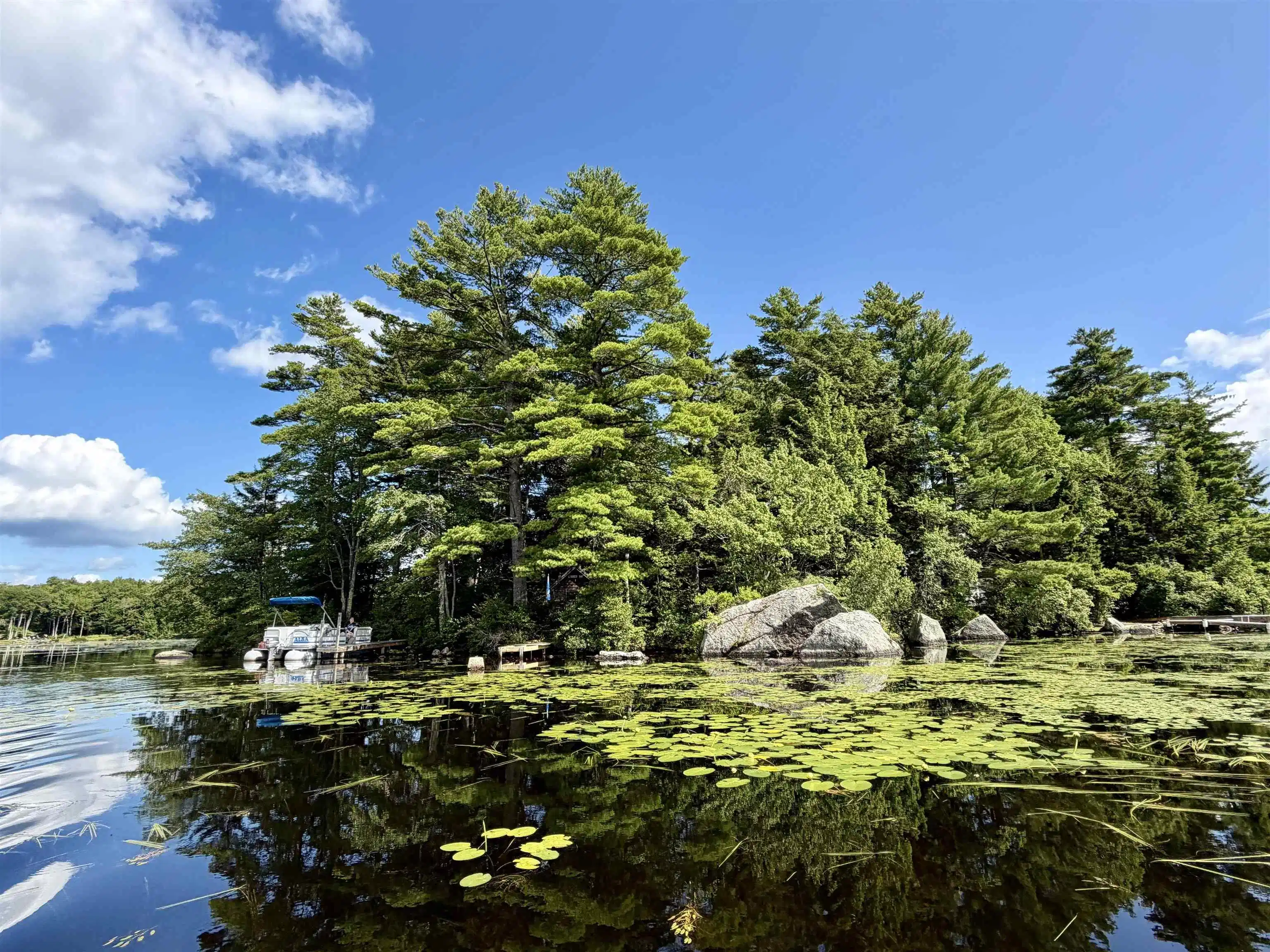 Image 1 Image 1