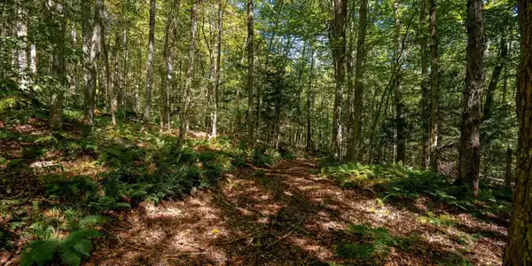 00 Turtle Rock Road