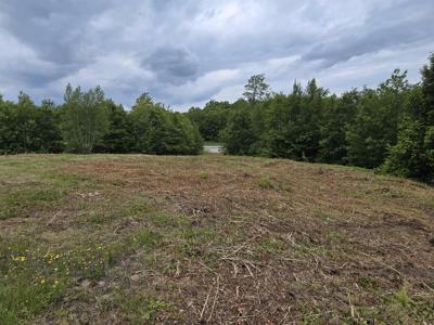 Lot 2 Skyline Drive
