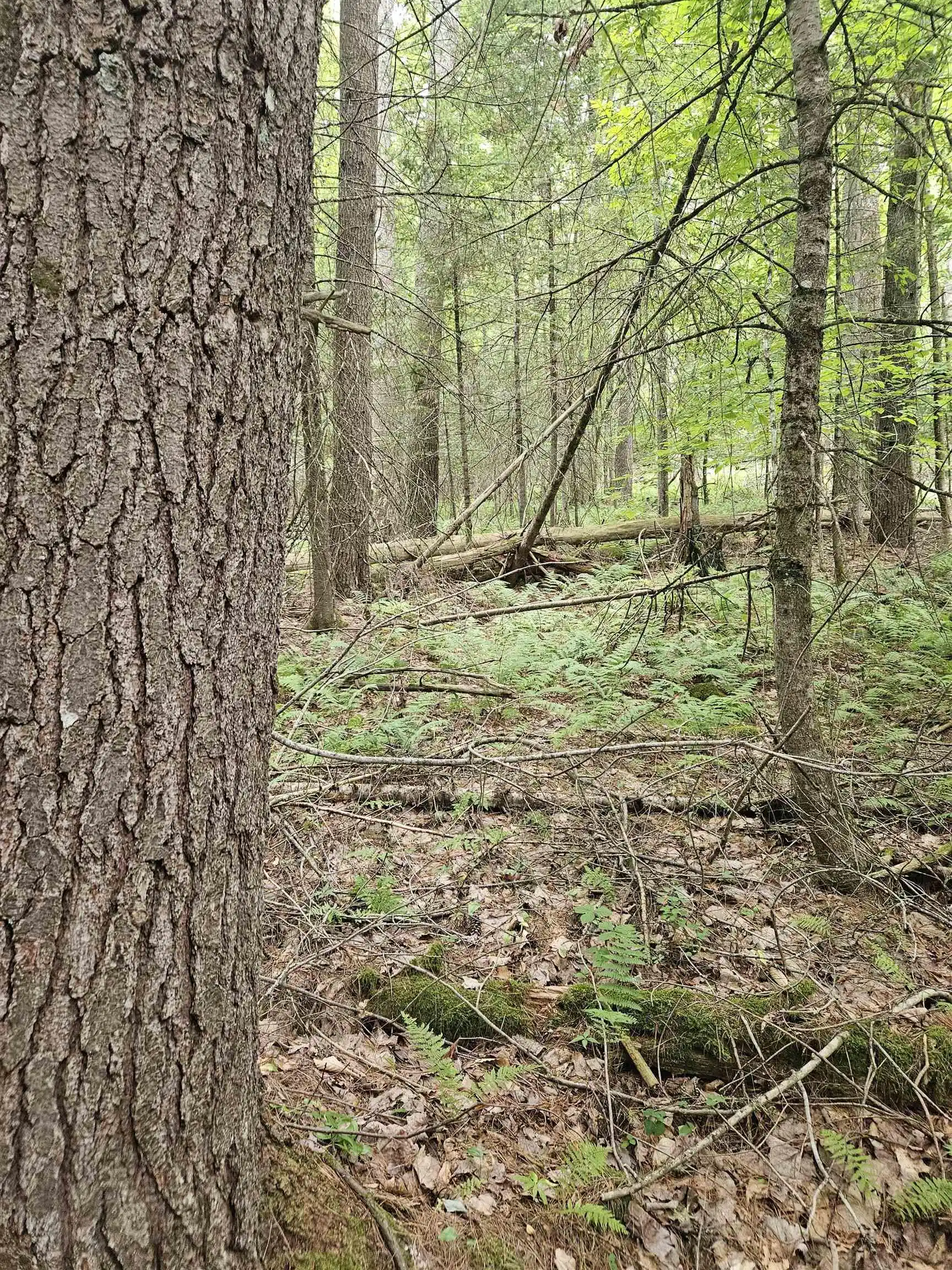 Image 1 Image 1