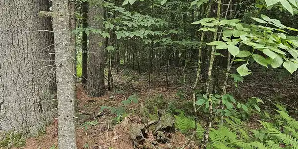 Image 3 Image 3
