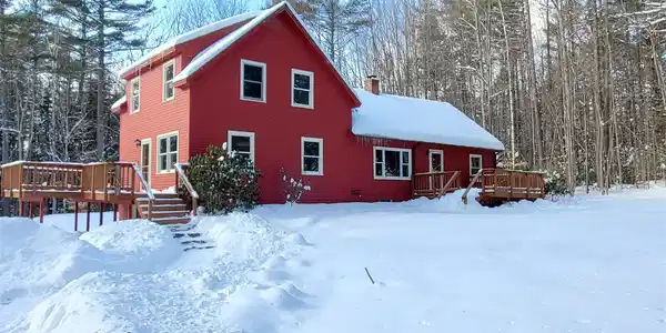 28 Blueberry Woods