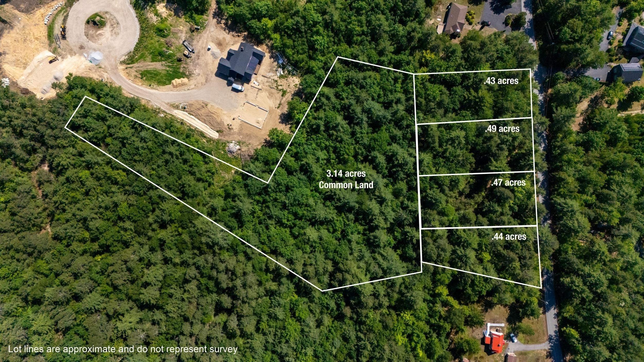 Image 1: Lines are estimated