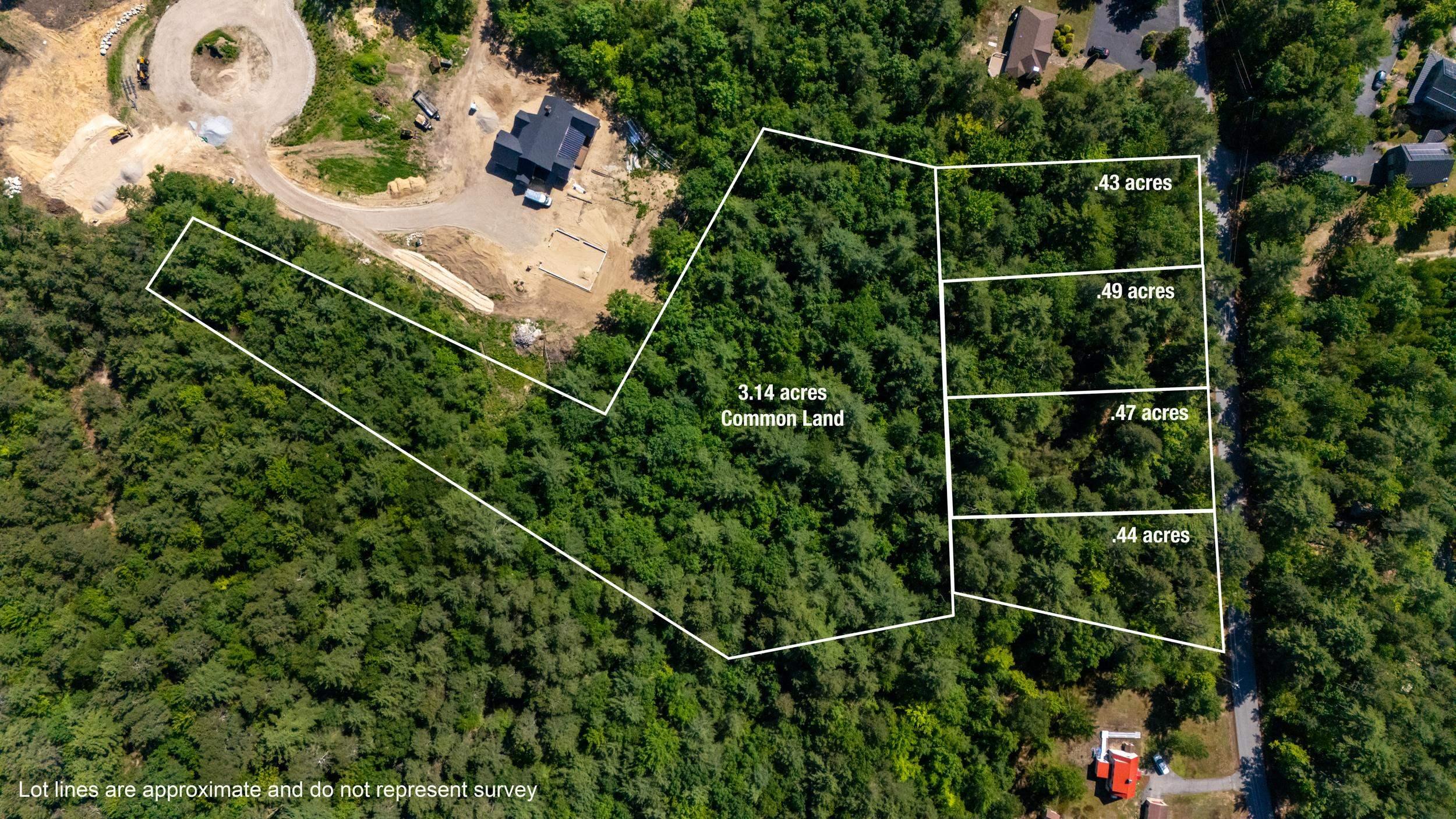 Image 1: Lines are Estimated