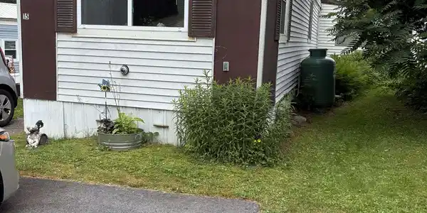 15 Quinn Street