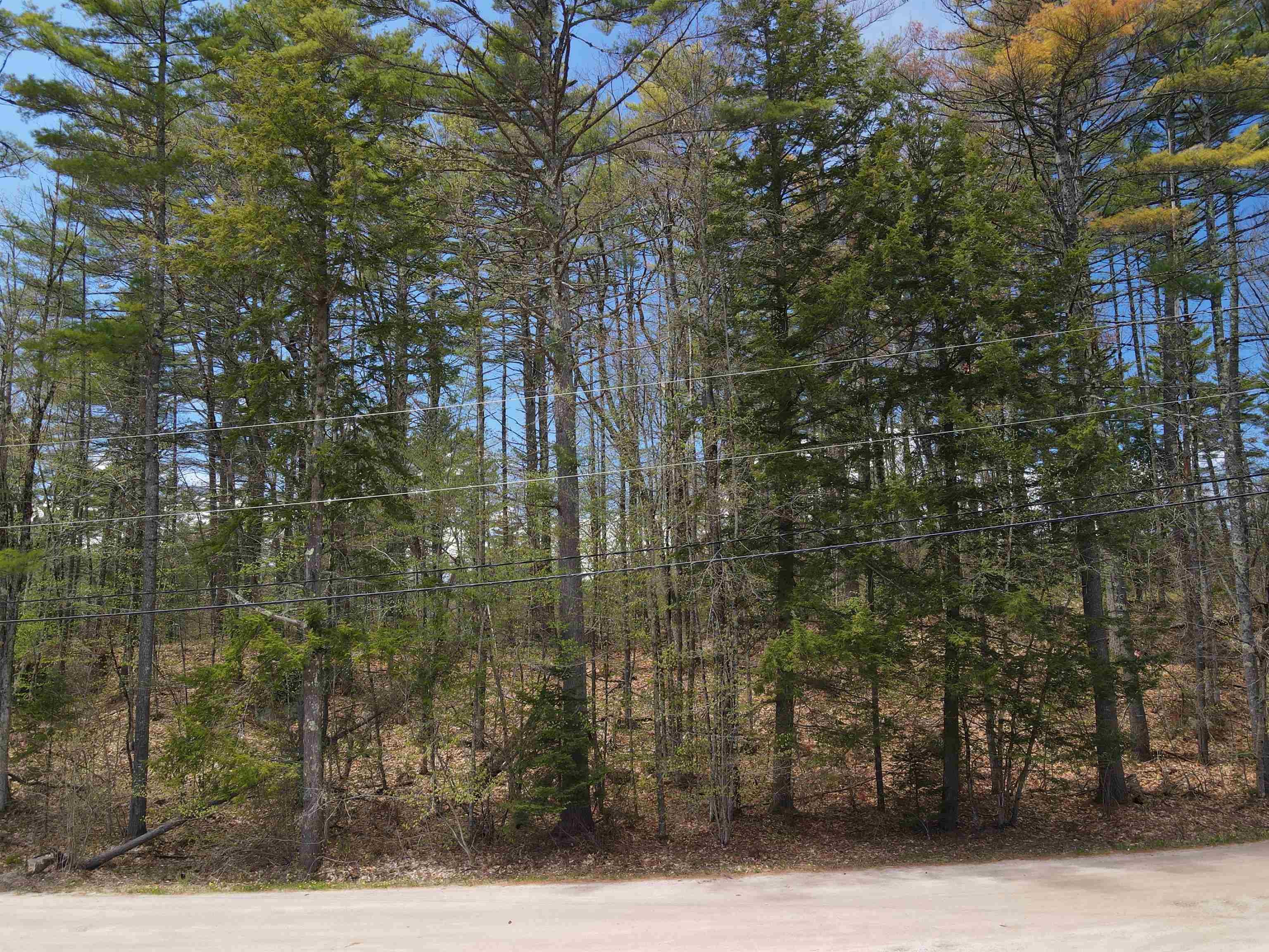 Image 1 Image 1