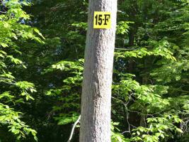15 F Buzzell Ridge