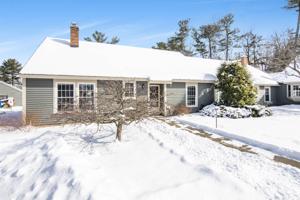 27 Conifer
