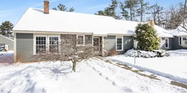 27 Conifer