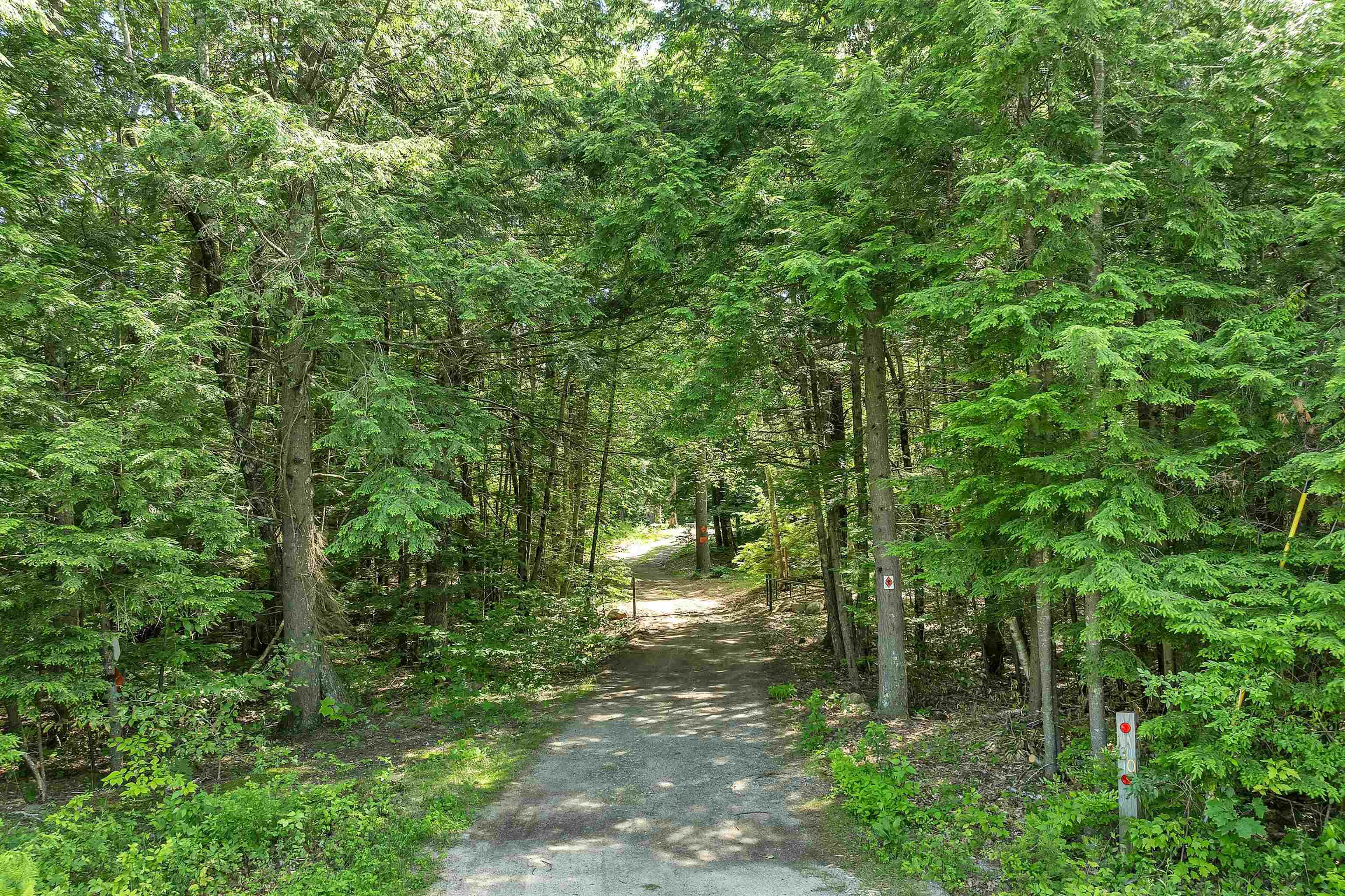 Image 1: Approach to lot