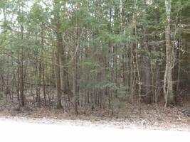 Lot 359A Rogers