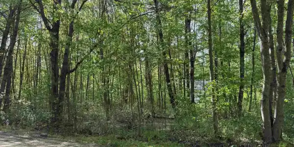 Moccasin Trail