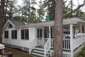 12 White Birch E