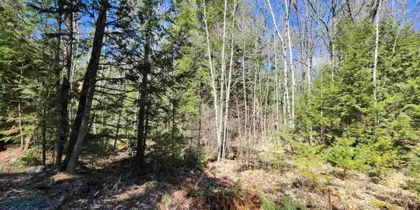 Lot 153 Carr Road