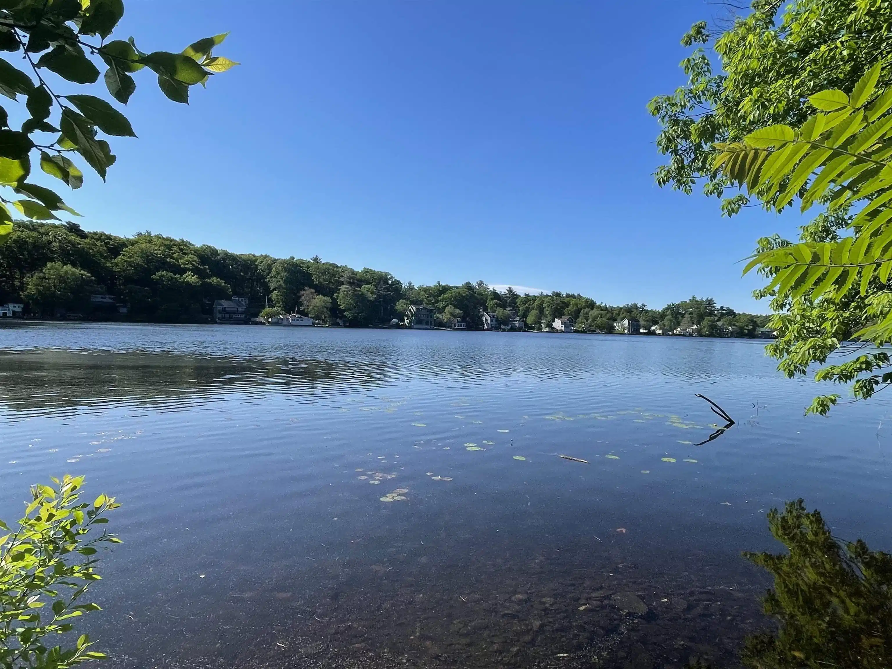 Image 1 Image 1
