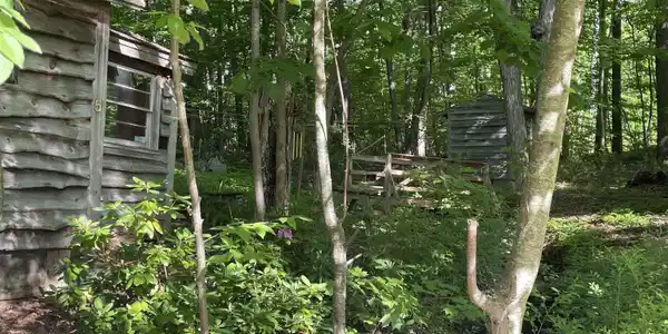 Image 4 Image 4