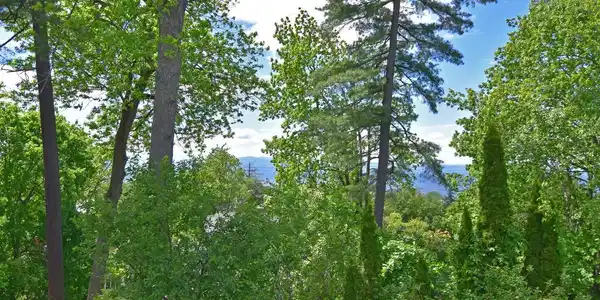 Image 2: Lake & mountain views