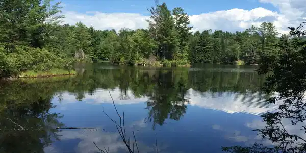 Cranmore