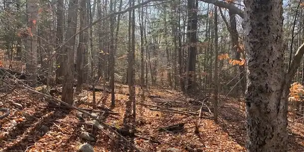 9 High Pond