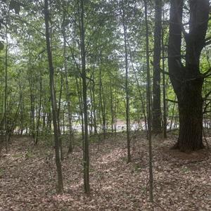 44.1 Lovell Lake Road