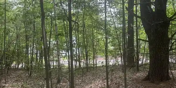 44.1 Lovell Lake Road
