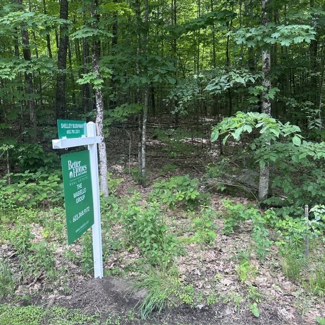 Image 2: Entrance to the land on Fellows Rd Image 2: Entrance to the land on Fellows Rd
