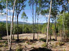R20 15 H Squam Lake