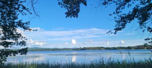 3802 Lake