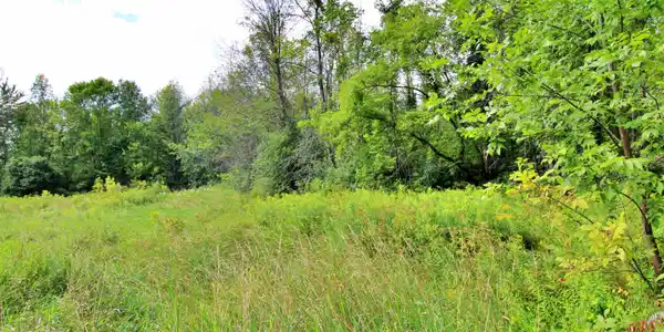 Image 2: Lot begins at the back corner of the clearing Image 2: Lot begins at the back corner of the clearing