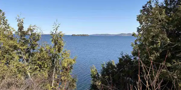 Image 4 Image 4