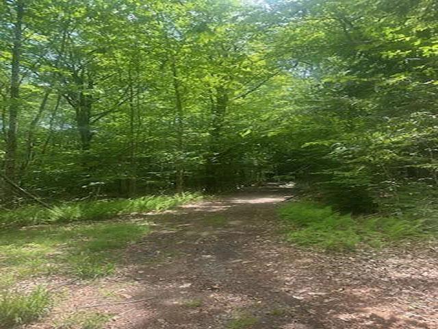 Image 1: Deer Path Lane Image 1: Deer Path Lane