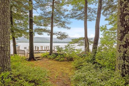 Squam Lake Homes For Sale