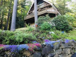 331 Hemlock