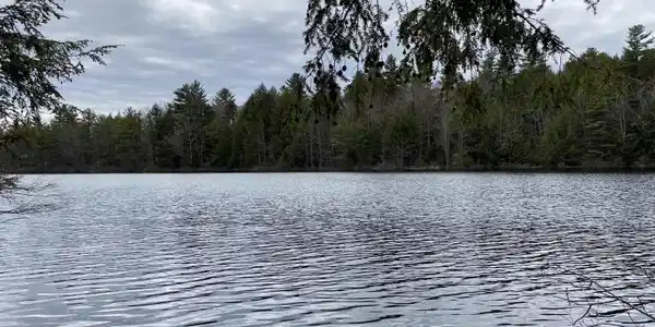 53 Anderson Pond