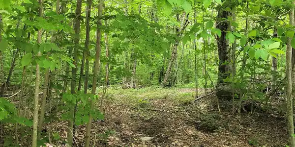 0 Fox Hill