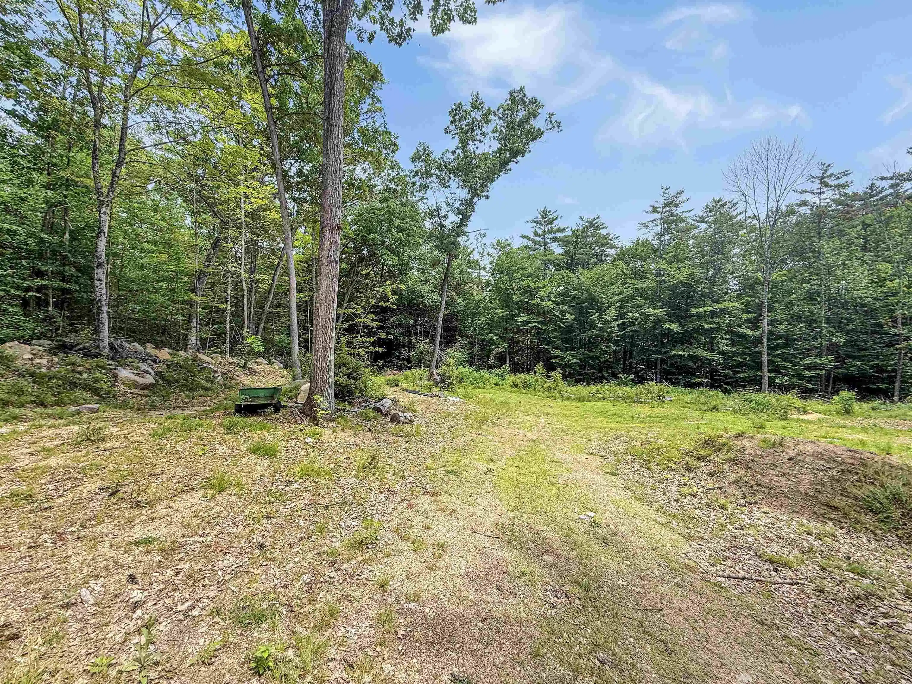Image 1 Image 1