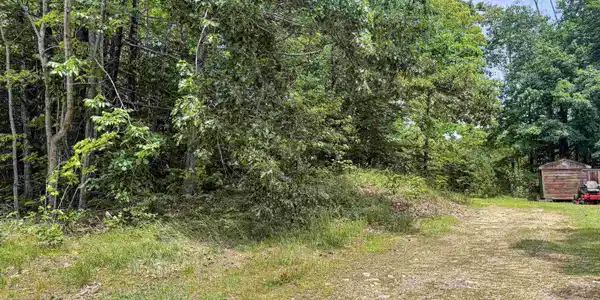 Image 4 Image 4