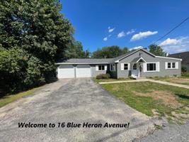 16 Blue Heron
