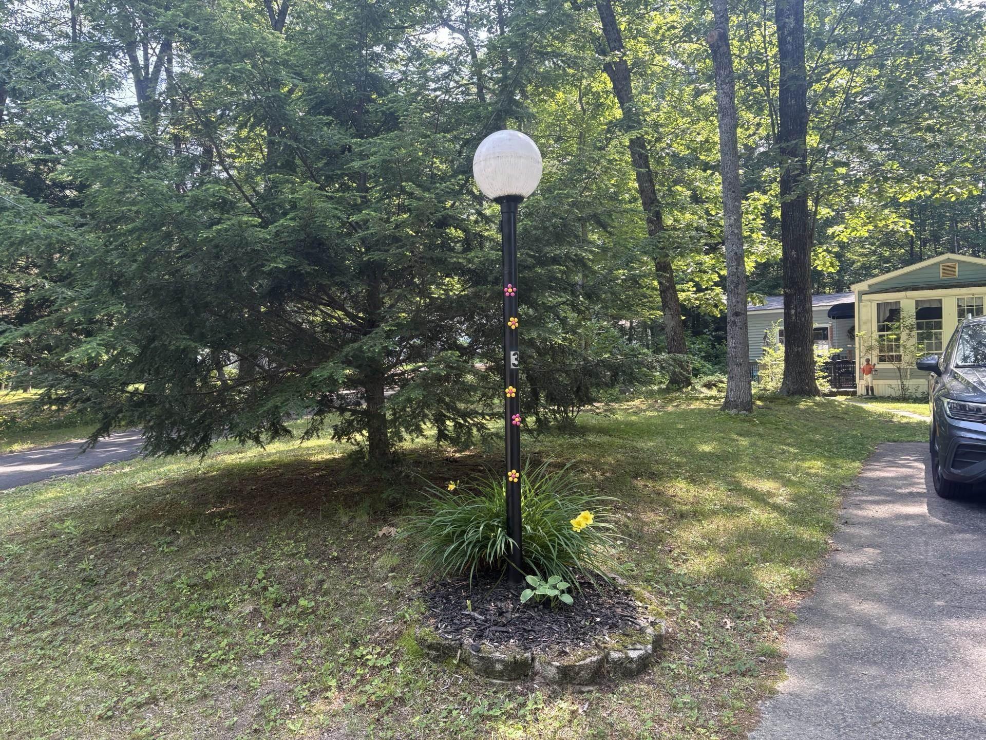 Image 3: STreet Light