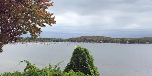 321 East Lakeshore