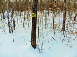 Lot 15 O Buzzell Ridge
