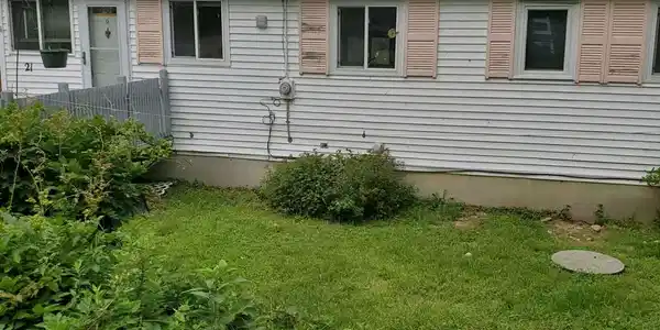 21 Spring