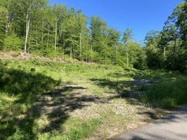 95 Seven Pines