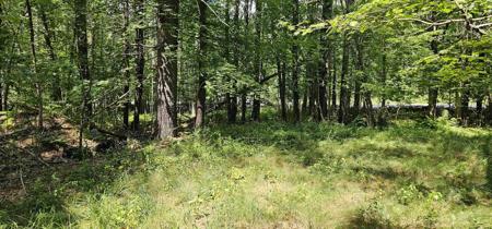 492 Moultonboro Neck Road