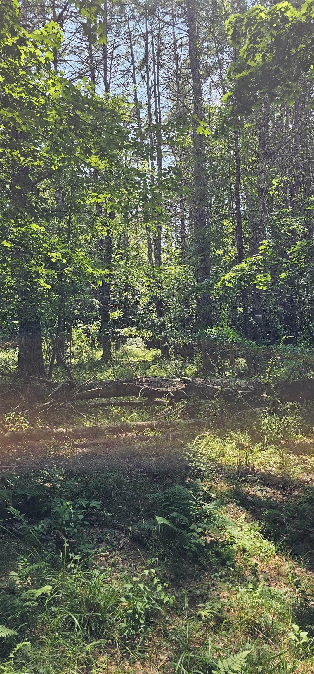 Image 3 Image 3