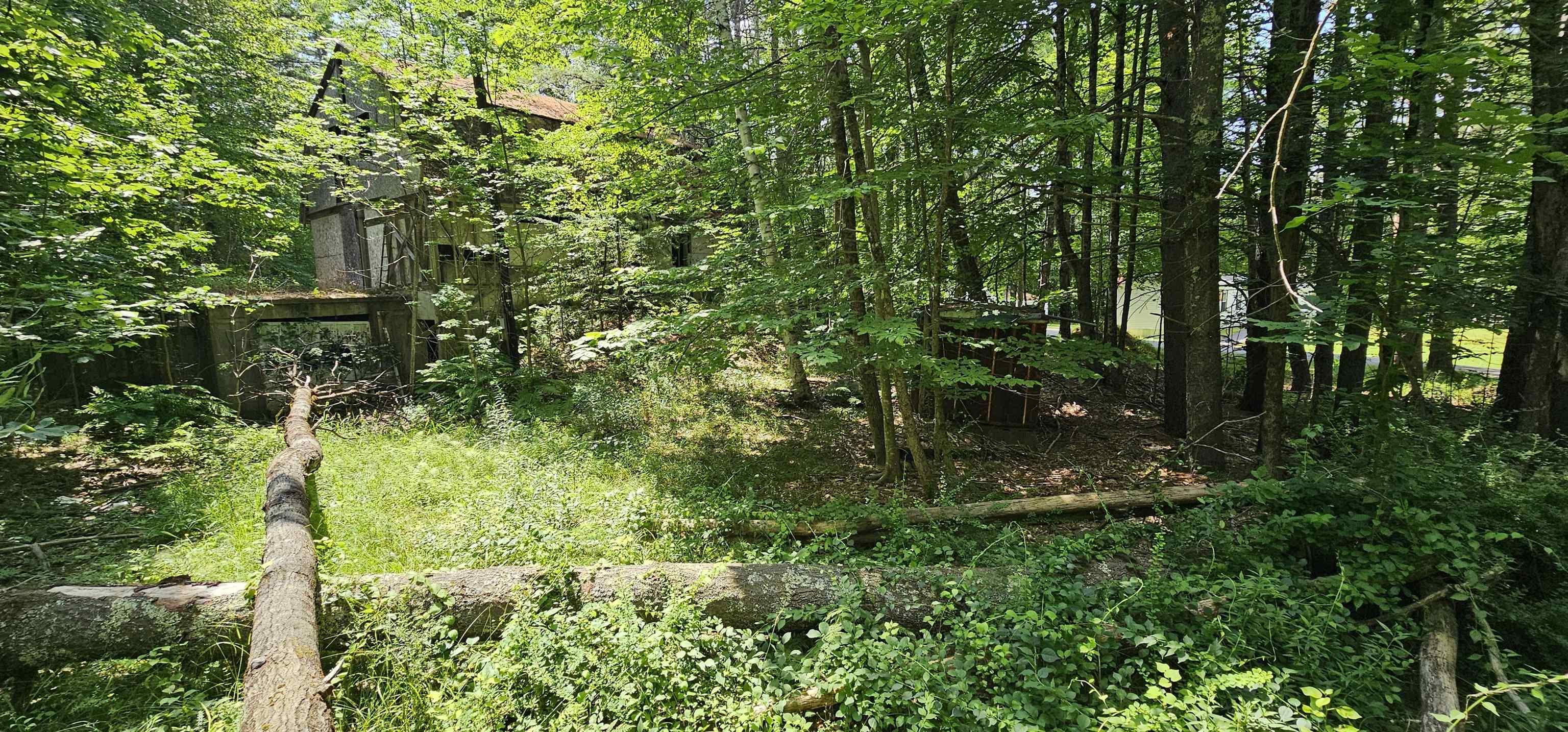 Image 4 Image 4