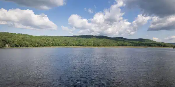 Image 4 Image 4